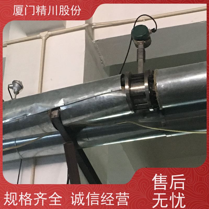 精川股份 制革厂 导热油炉流量计 自动计算能量 单位可选