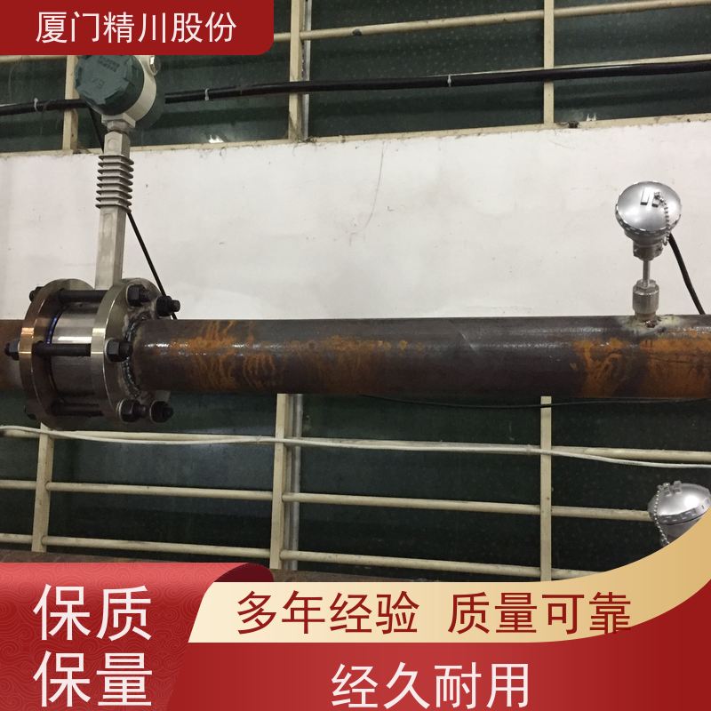 精川股份 PU皮革厂 导热油流量计 耐高温400度 安装简单