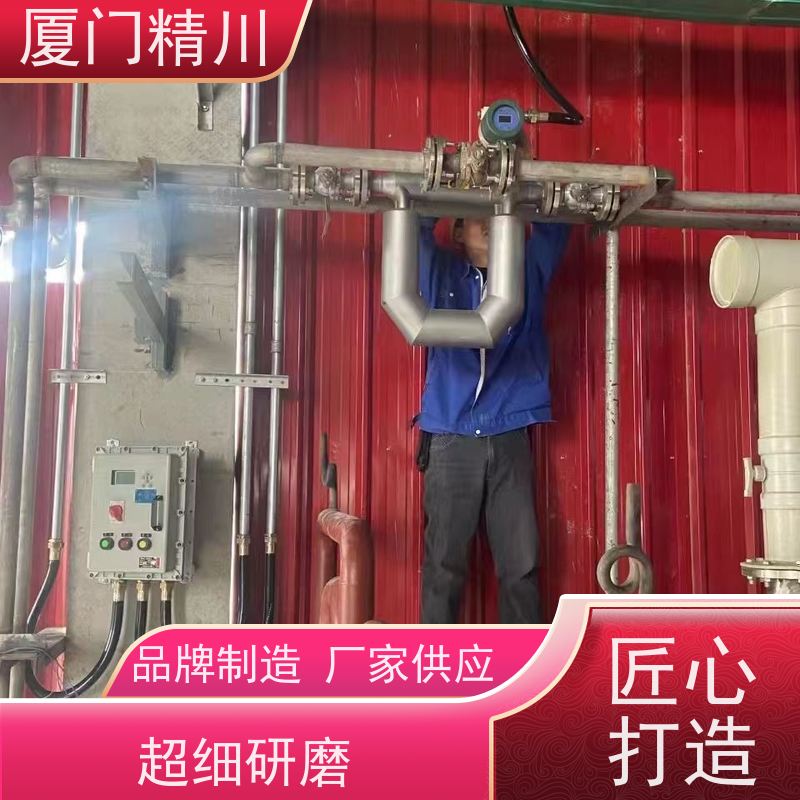 精川 食品厂科氏力质量流量计 连接方式支持定制 有保障