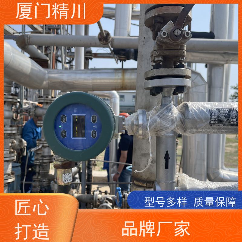 精川 高校科里奥利质量流量计 精度0.2级 更放心