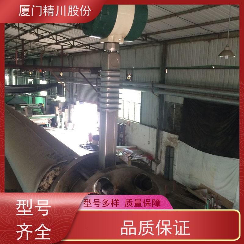 精川股份 PU皮革厂 导热油流量计 精度高 单位可选