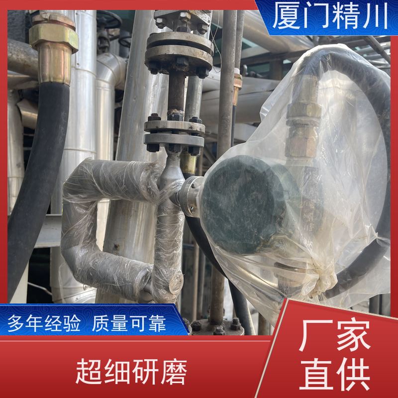 精川股份 半导体小口径质量流量计 精度0.2级 省心
