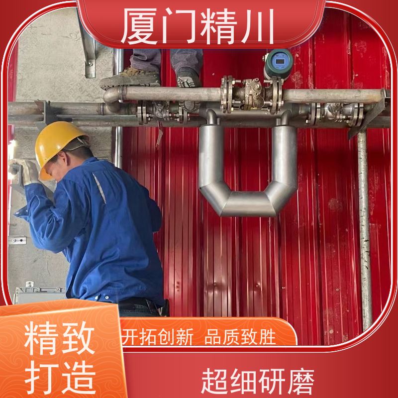 精川 食品厂科里奥利质量流量计 接液316L材质 省心