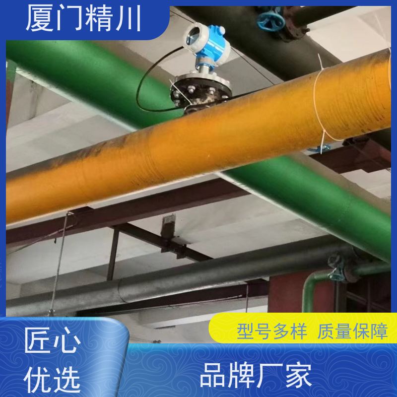 精川 猪油 管道式靶式流量计 可测含粉尘介质 支持定制