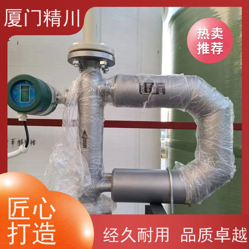 精川 制药厂小口径质量流量计 连接方式支持定制 有保障