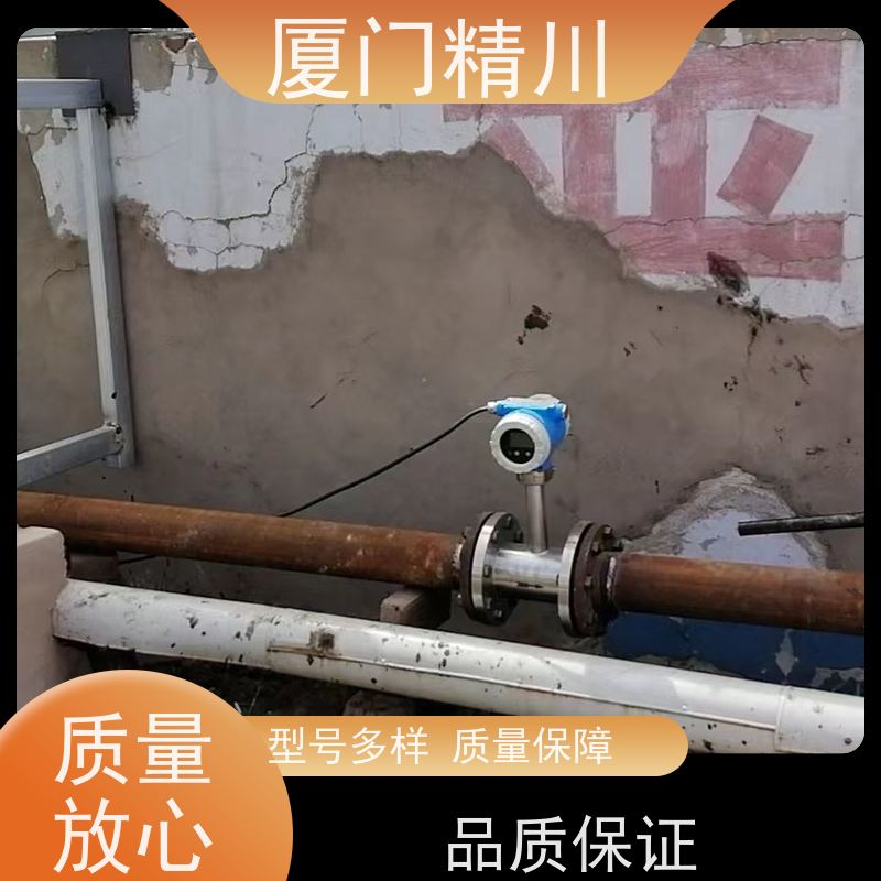 精川股份 焦炉煤气 在线插拔靶式流量计 可测含粉尘介质 性能稳定