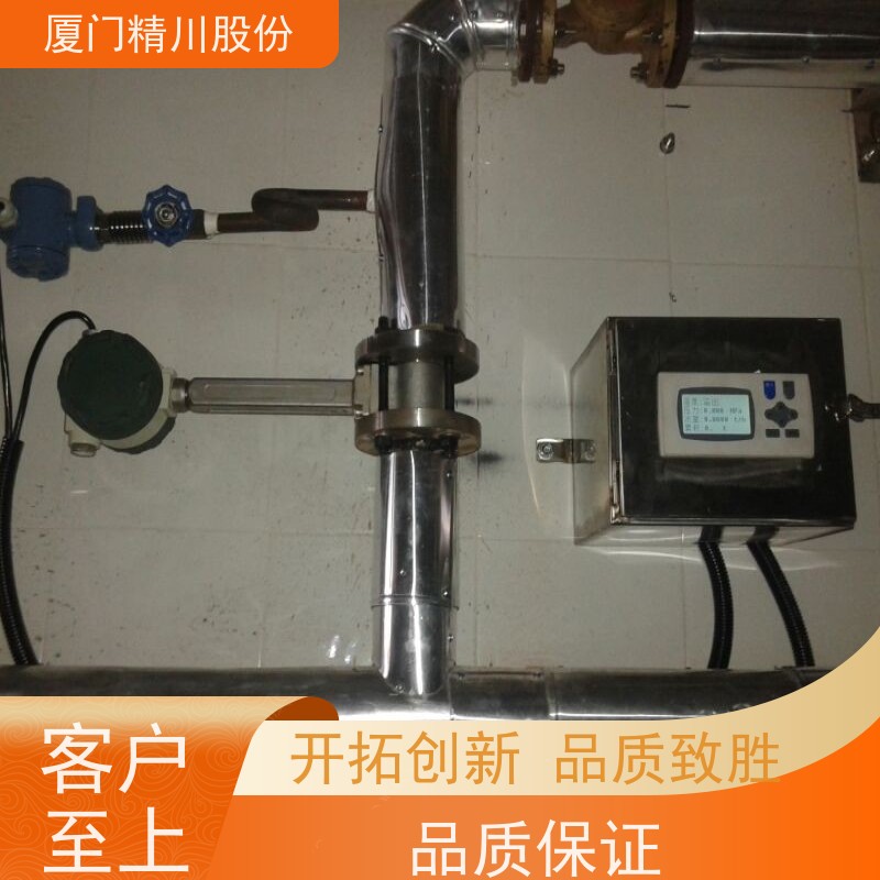 精川股份 染整厂 蒸汽涡街流量计 工作时间长 应用广泛