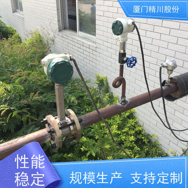 精川股份 染整厂 液体涡街流量计 一体式温压补偿 源头生产厂家