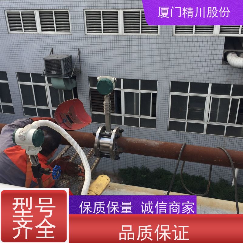 精川股份 染整厂 空气涡街流量计 可耐温350度 支持免费选型