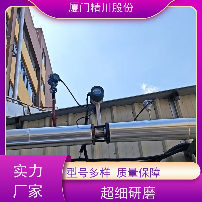 精川股份 食品厂 蒸汽涡街流量计 一体式温压补偿 真实应用案例多