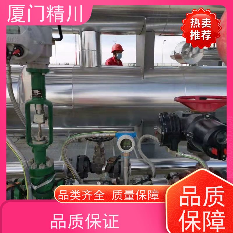 精川 菜油 温压补偿靶式流量计 可测含粉尘介质 支持定制