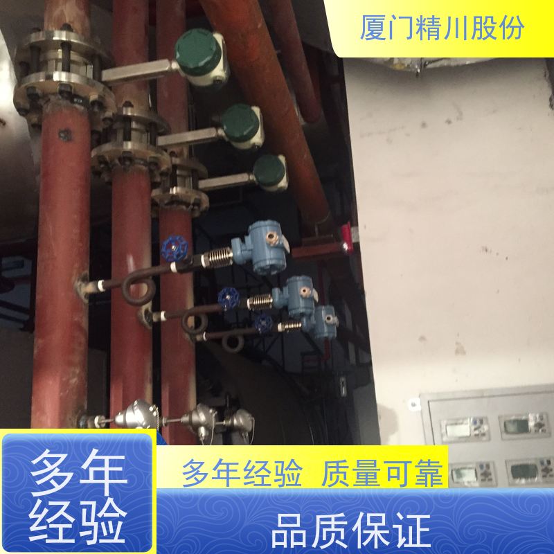 精川股份 制革厂 饱和蒸汽流量计 测量精度高 源头生产厂家
