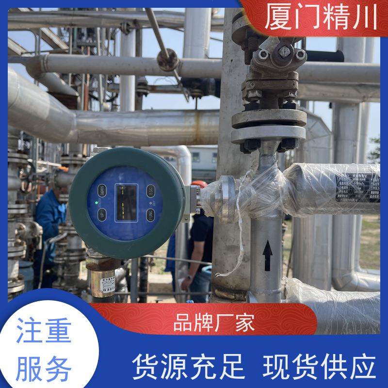 精川 半导体气体质量流量计 连接方式支持定制 有保障