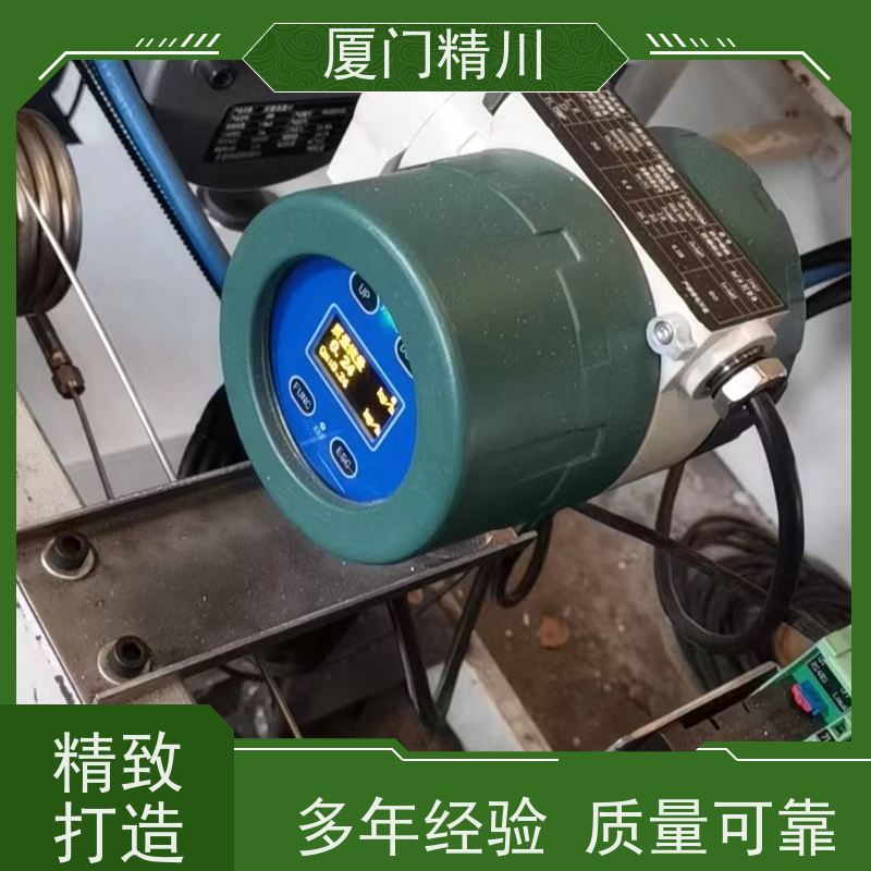 精川股份 食品厂DN1质量流量计 连接方式支持定制 有保障