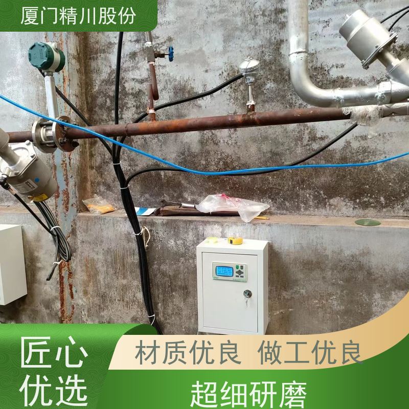 精川股份 制药厂 压缩空气流量计 分体式温压补偿 服务量少
