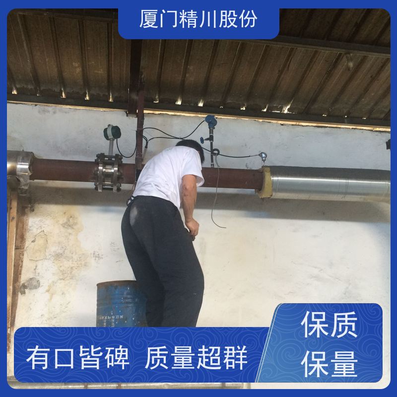 精川股份 PU皮革厂 蒸汽流量计 一体式温压补偿 维护量少