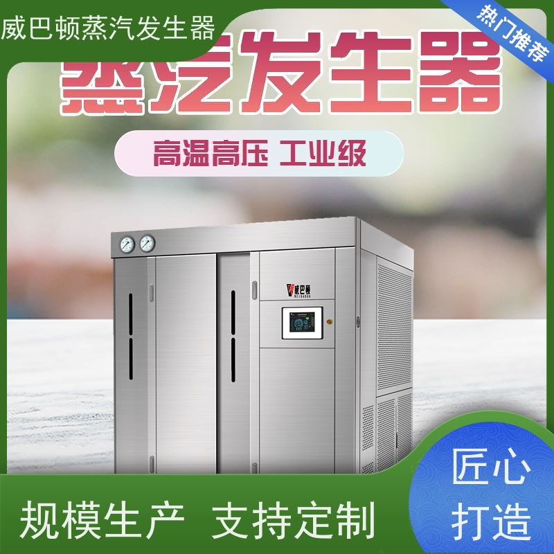  新型国标 六吨蒸汽锅炉 多台并联省气稳供 橡胶厂