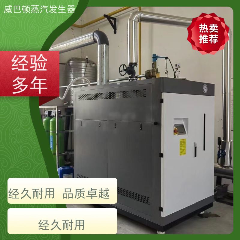 不锈钢 天然气烧锅炉 3 分钟出蒸汽 豆腐腐竹加工厂