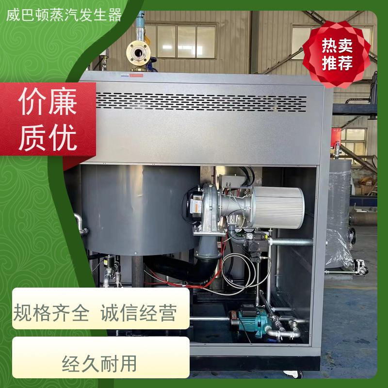  洗涤熨烫 蒸馒头专用锅炉 蒸汽干度 97% 混凝土养护