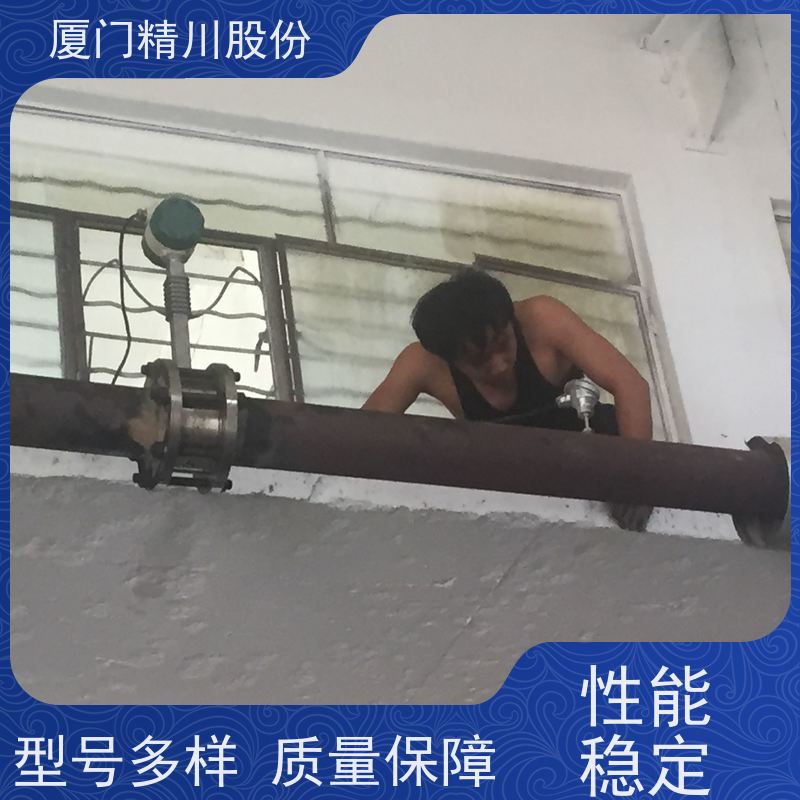 精川股份 制革厂 导热油炉流量计 精度高 品质可靠