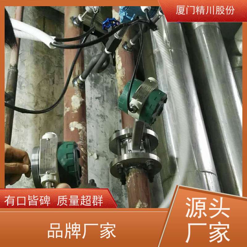 精川股份 电镀厂 蒸汽流量计 一体式温压补偿 真实应用案例多