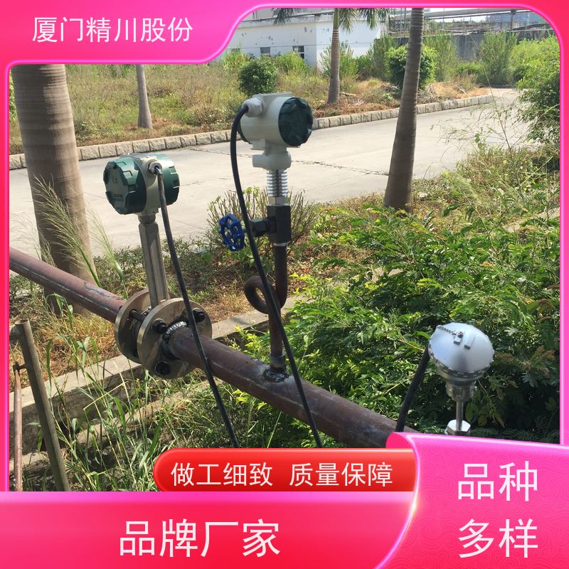 精川股份 制革厂 饱和蒸汽流量计 分体式温压补偿 服务量少
