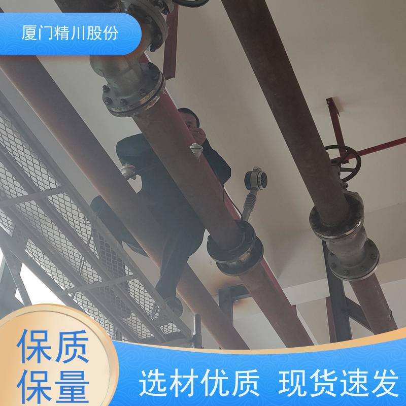 精川股份 鞋材厂 导热油流量计 精度高 安装简单