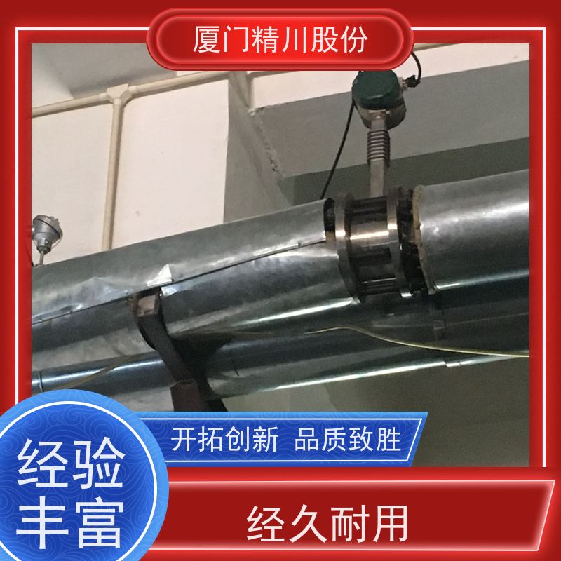 精川股份 染整厂 导热油炉流量计 自动计算能量 应用广泛
