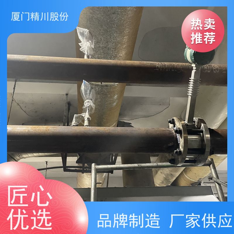 精川股份 制革厂 导热油流量计 出厂都会设置好 现场案例多