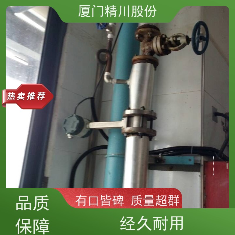 精川股份 染整厂 蒸汽流量计 测量精度高 源头生产厂家