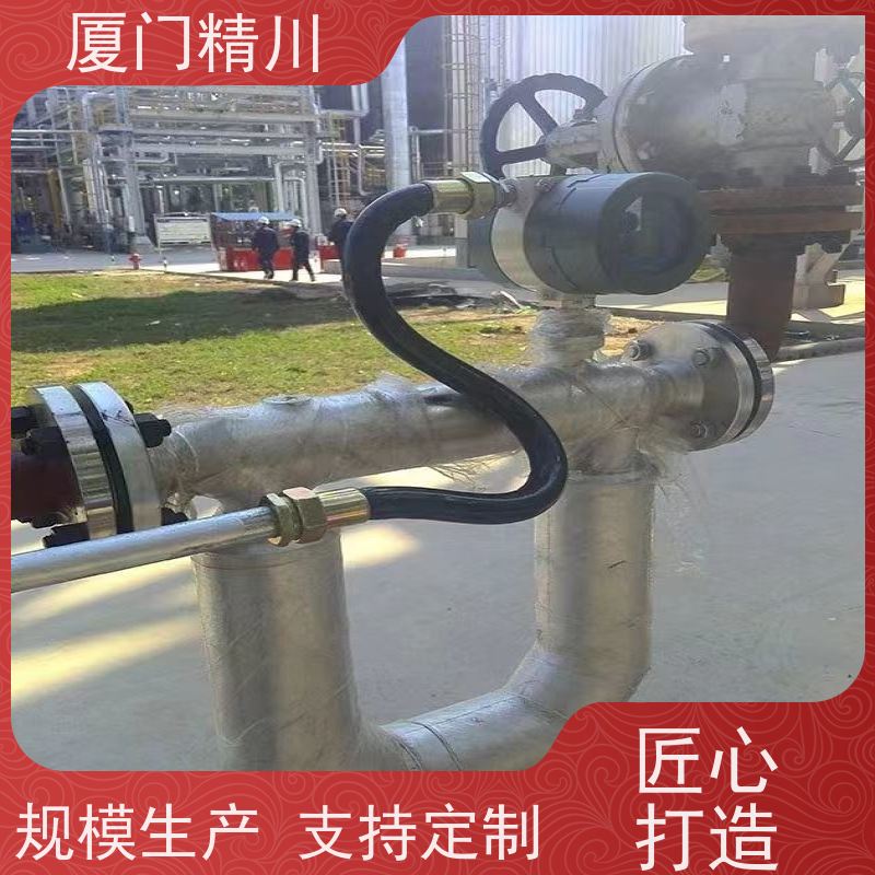 精川 锂电行业科里奥利质量流量计 精度0.2级 省力