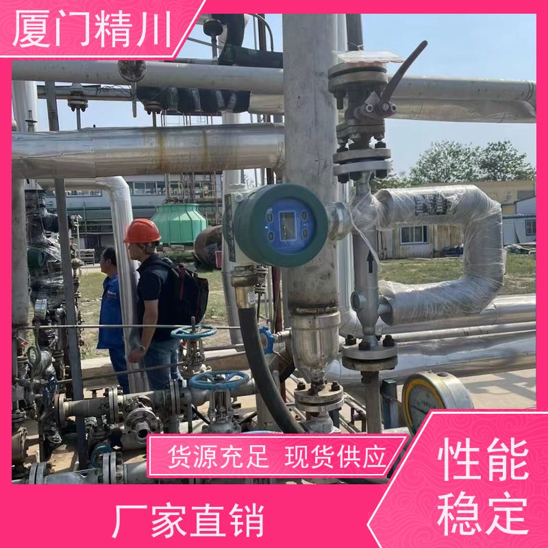 精川股份 锂电行业液体质量流量计 连接方式支持定制 省力