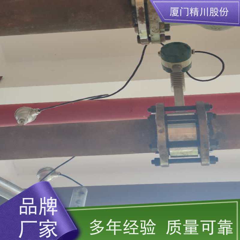 精川股份 印染厂 导热油炉流量计 自动计算能量 免费选型
