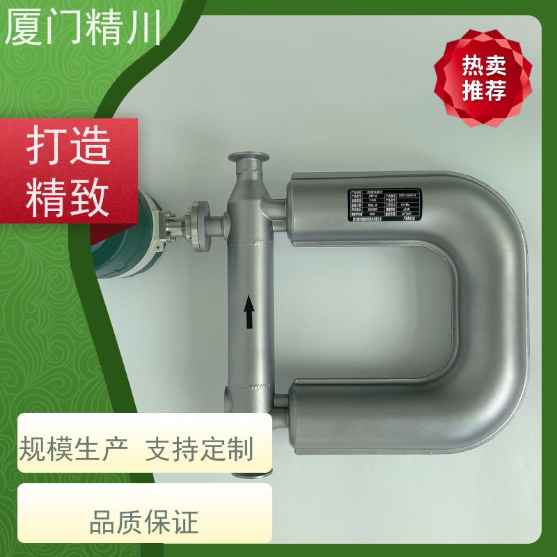 精川 设备配套小口径质量流量计 接液316L材质 更放心
