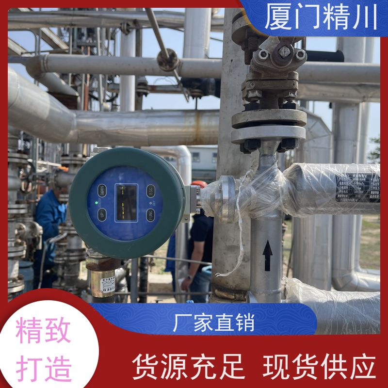 精川股份 半导体液体质量流量计 支持定制 更放心