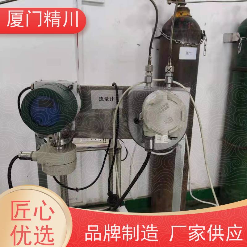 精川股份 设备配套气体质量流量计 支持定制 更放心