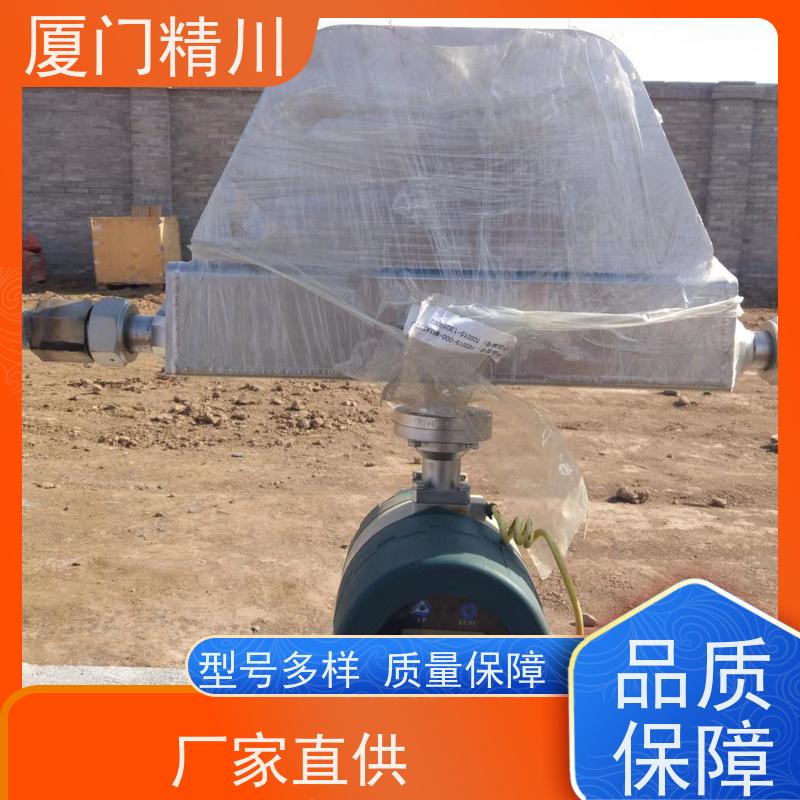 精川股份 制药厂DN1质量流量计 支持定制 更耐用