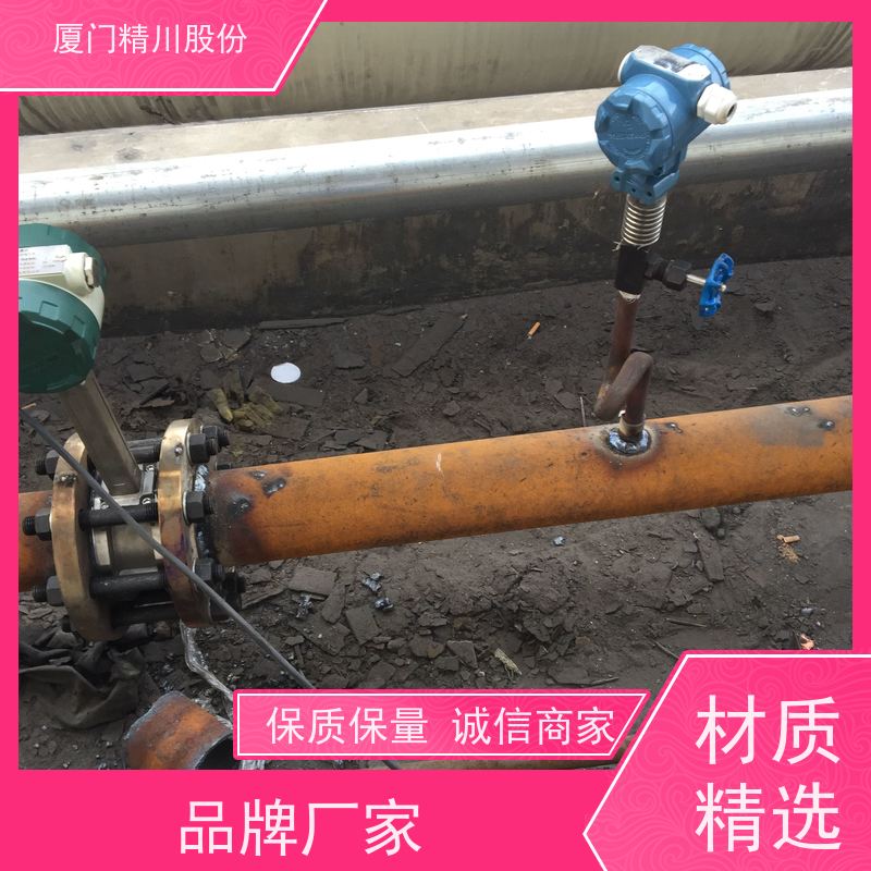 精川股份 染整厂 导热油涡街流量计 测量精度高 源头生产厂家