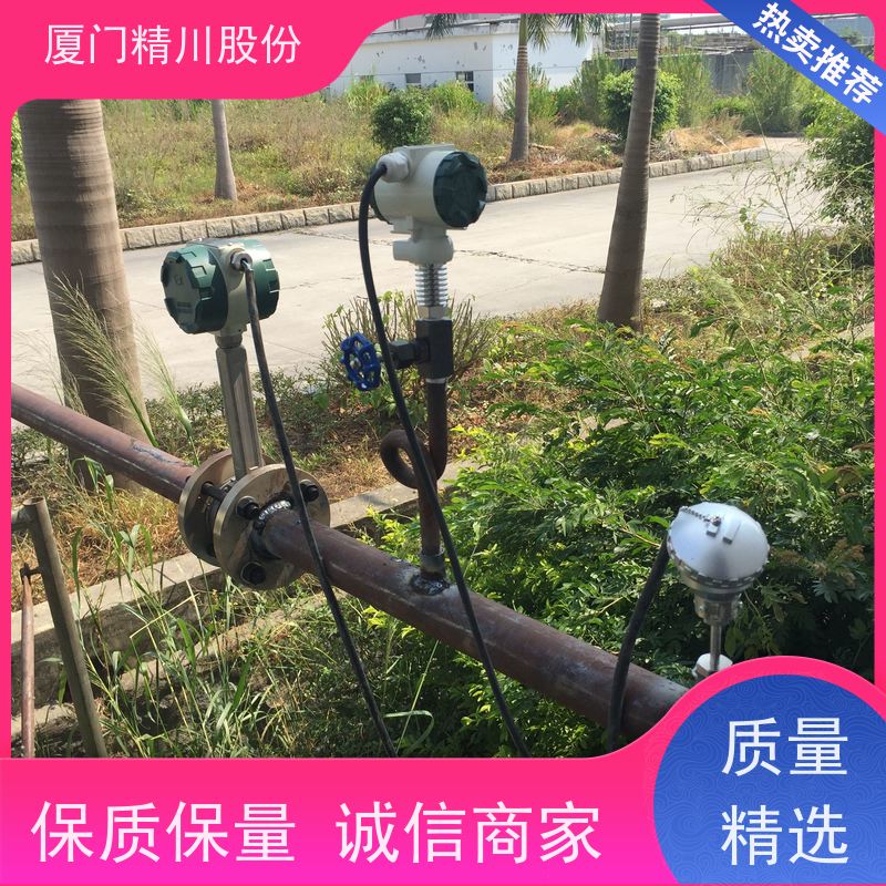 精川股份 PU皮革厂 气体涡街流量计 工作时间长 应用广泛