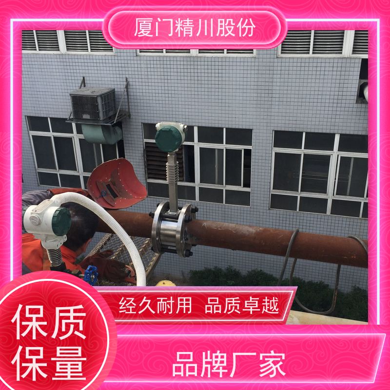 精川股份 电镀厂 气体涡街流量计 工作时间长 应用广泛