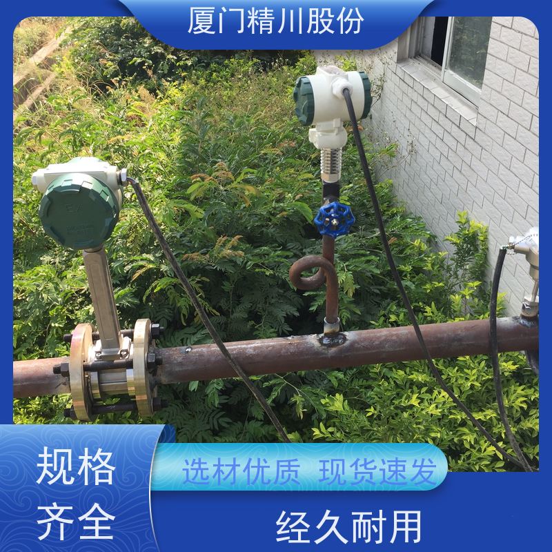 精川股份 PU皮革厂 导热油涡街流量计 抗震性能好 支持免费选型