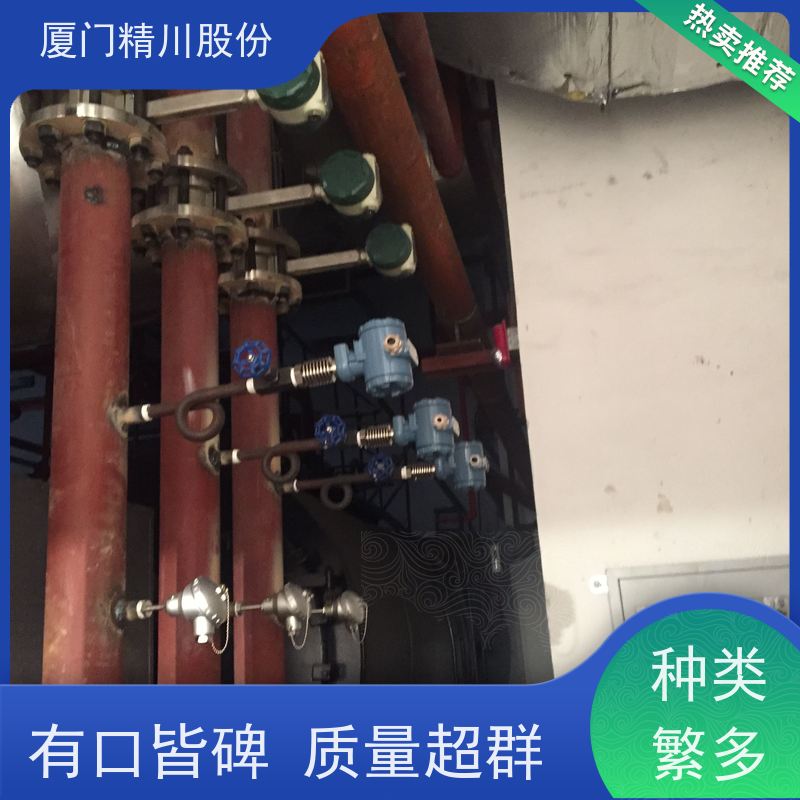 精川股份 人造革厂 涡街流量计 抗震性能好 支持免费选型