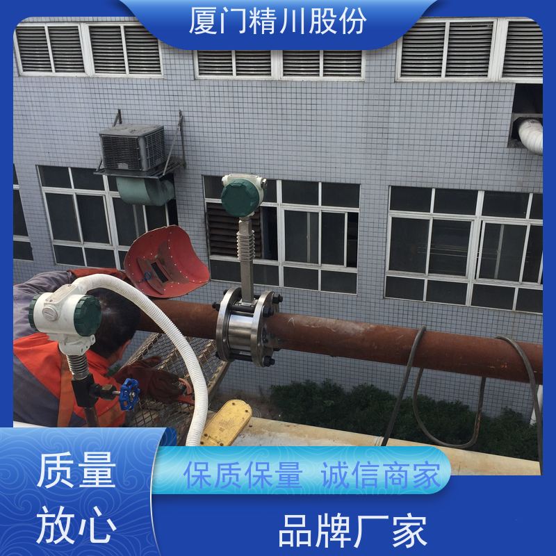 精川股份 造纸厂 涡街蒸汽流量计 抗震性能好 应用广泛