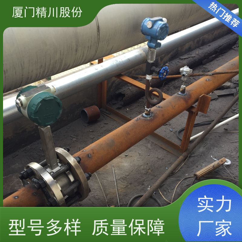 精川股份 胶带厂 饱和蒸汽流量计 工作时间长 应用广泛