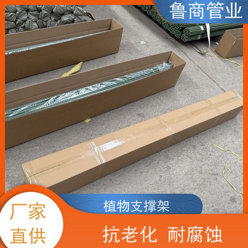 包塑支杆 批发定制 庭院造景用 防风稳定 铁线莲爬藤架