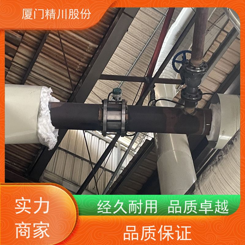 精川股份 印染厂 导热油炉流量计 精度高 现场案例多