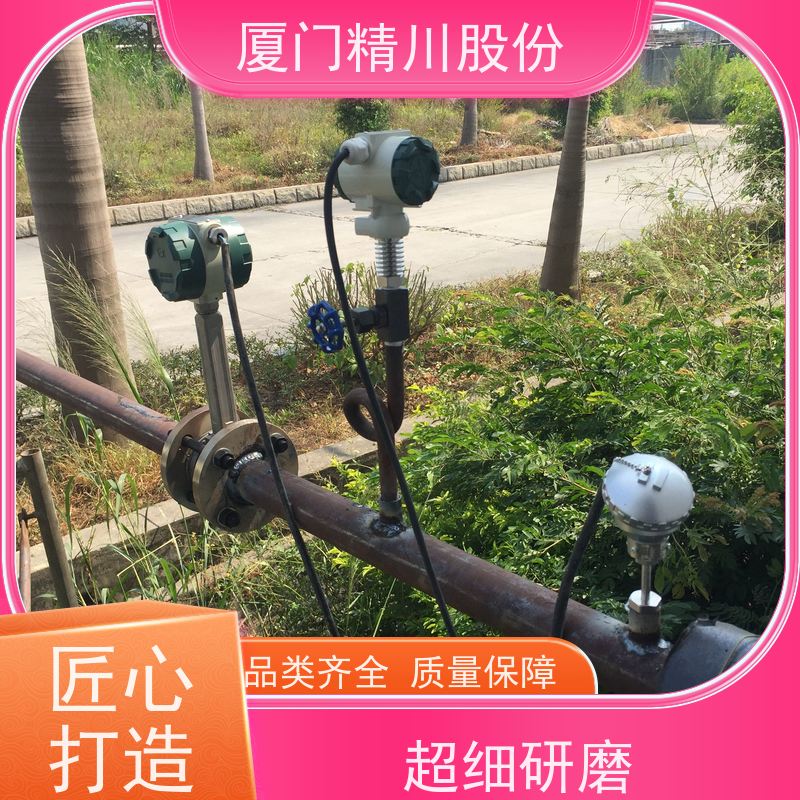 精川股份 纺织厂 过热蒸汽流量计 分体式温压补偿 源头生产厂家