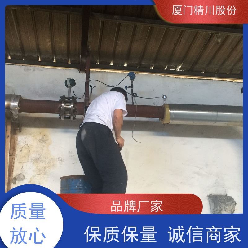 精川股份 制革厂 蒸汽流量计 测量精度高 真实应用案例多