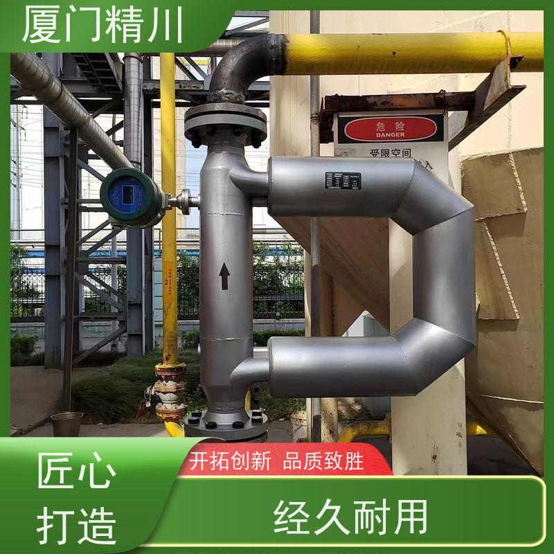 精川股份 锂电行业质量流量计 精度0.2级 更放心