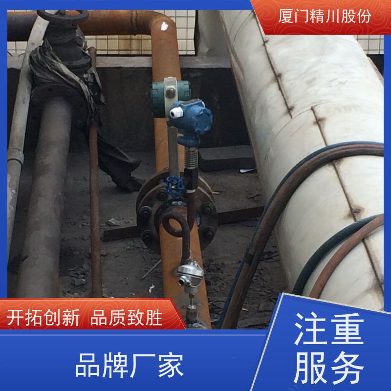 精川股份 人造革厂 饱和蒸汽流量计 抗震性能好 真实应用案例多